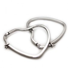 Heart Ring Stainless Steel Earrings